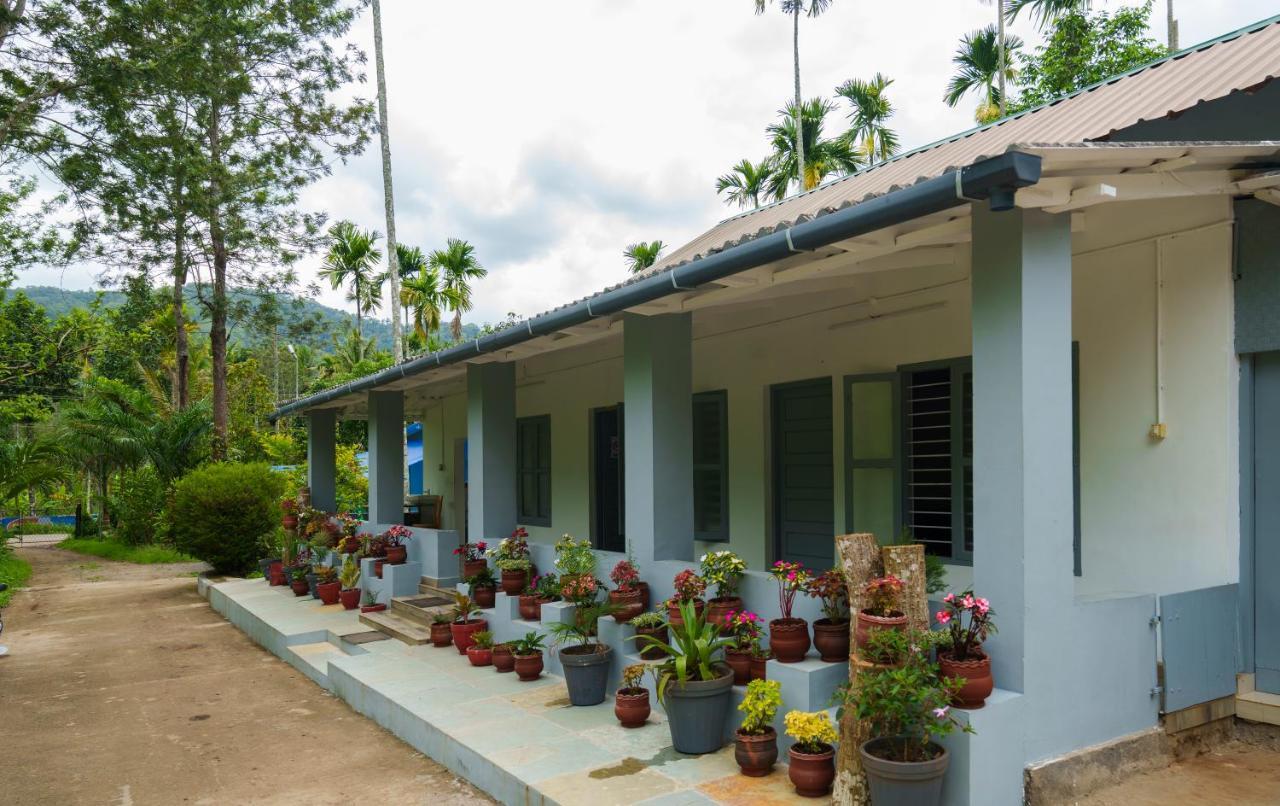 Mystic Trees, Kumily Apartment Thekkady Exterior photo