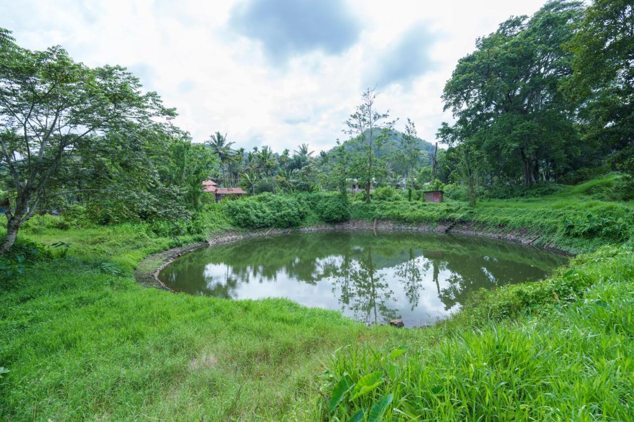 Mystic Trees, Kumily Apartment Thekkady Exterior photo